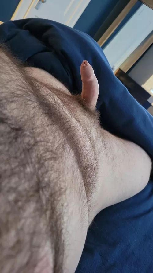 Don't wanna get out of bed by MNmixer