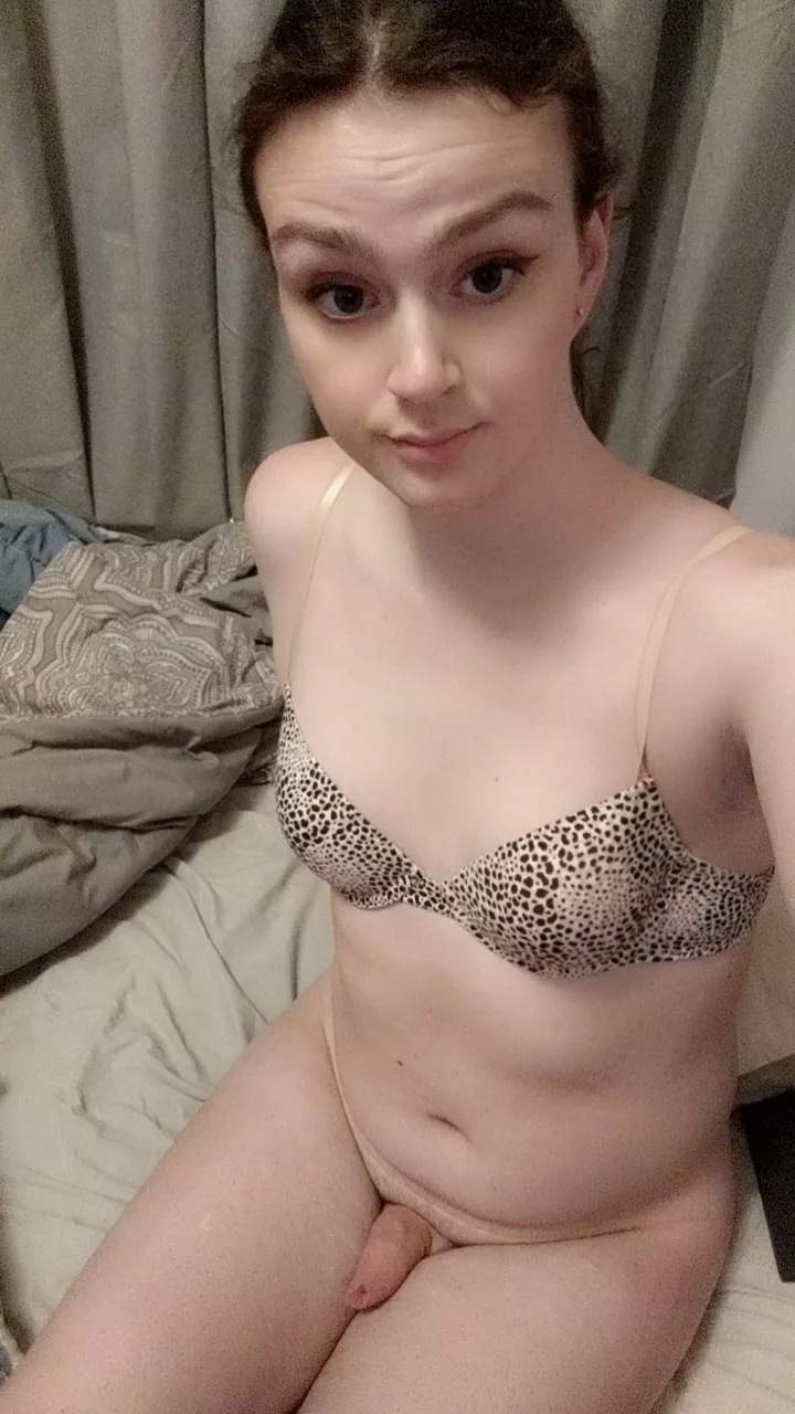 Felt Cute, thought others would enjoy posted by New_Sissy_in_Town