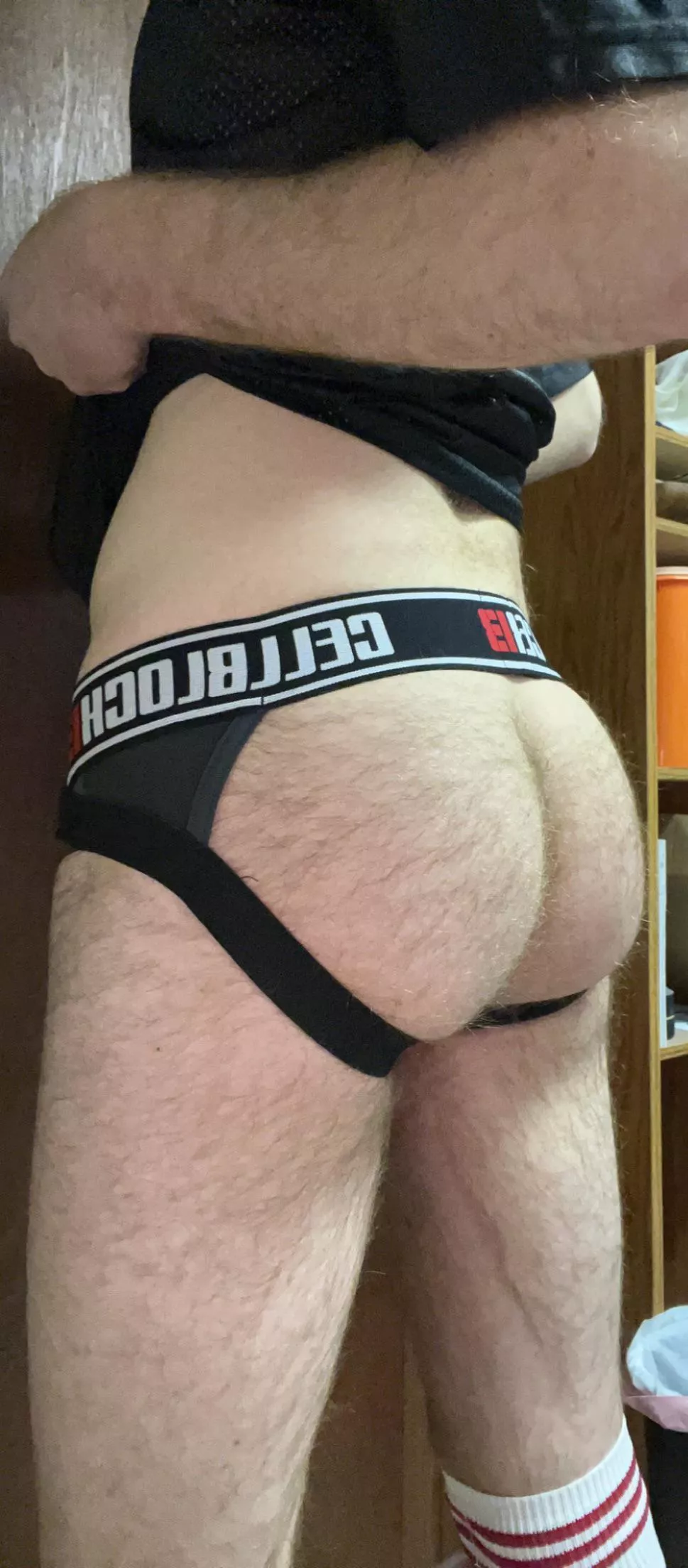 Hairy and Ginger posted by GashinaX