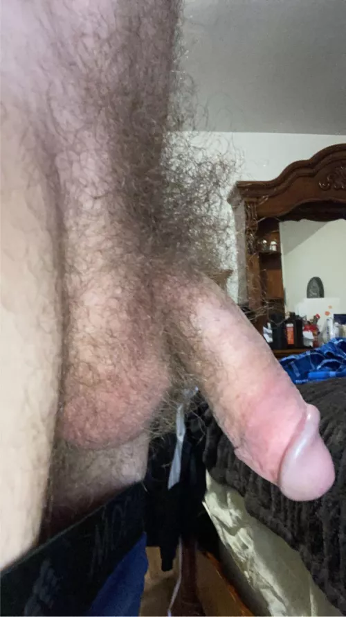 Haven’t shaved my nuts or bush in over a year (32) by DanielS35