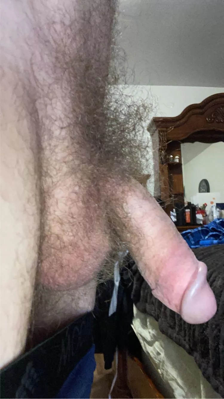 Haven’t shaved my nuts or bush in over a year (32) posted by DanielS35