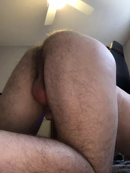 I need some company by track-and-yield