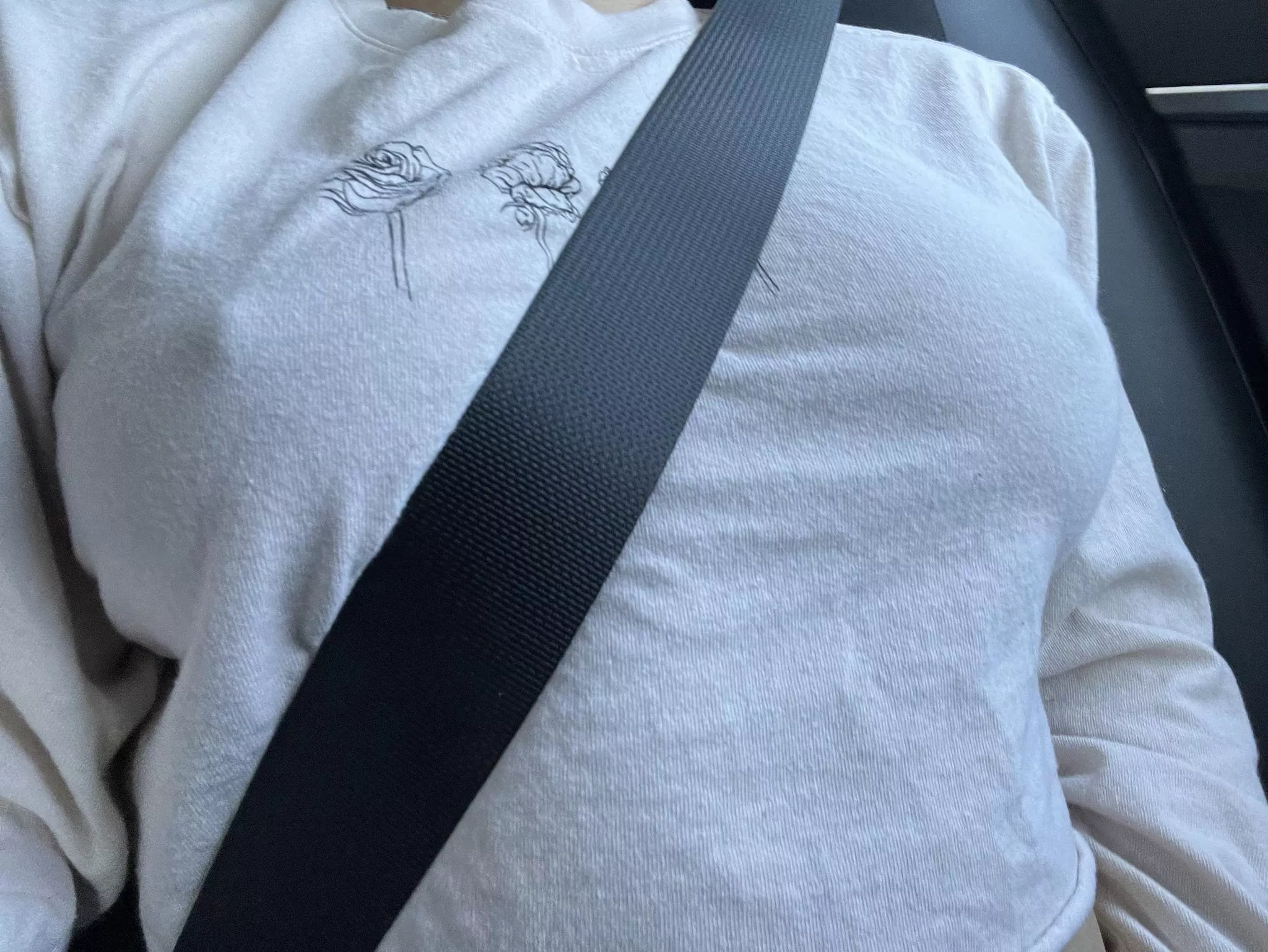 I wonder if my uber driver noticed posted by elliecuriouskitten