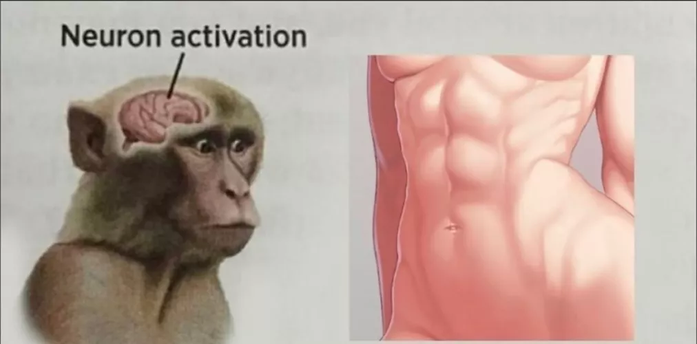 Meme by Designer_Occasion928