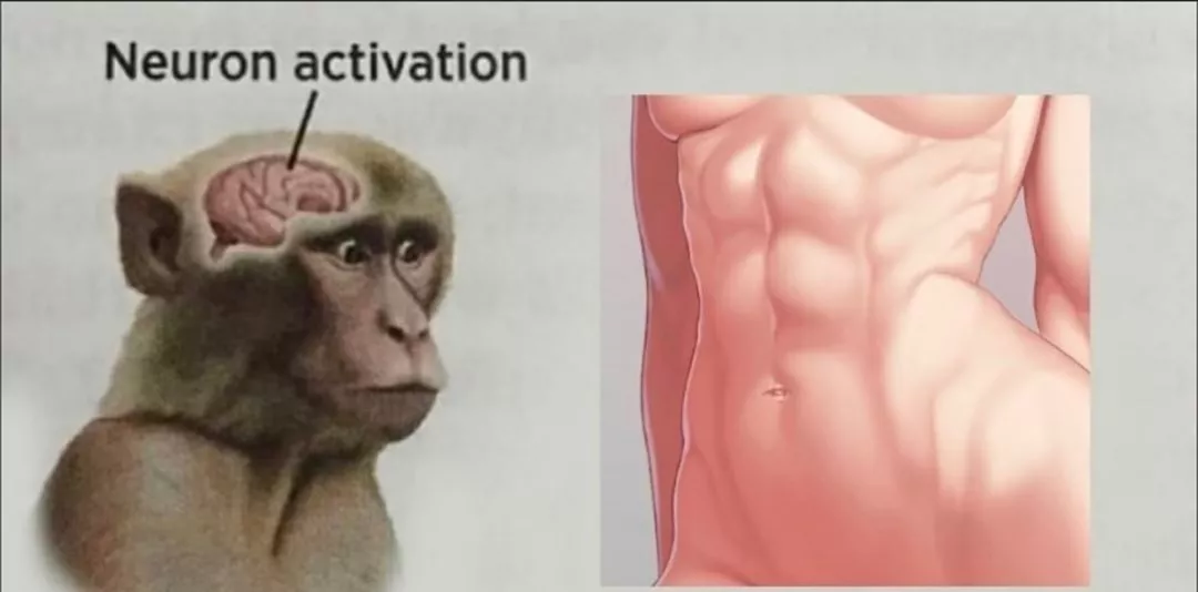 Meme posted by Designer_Occasion928