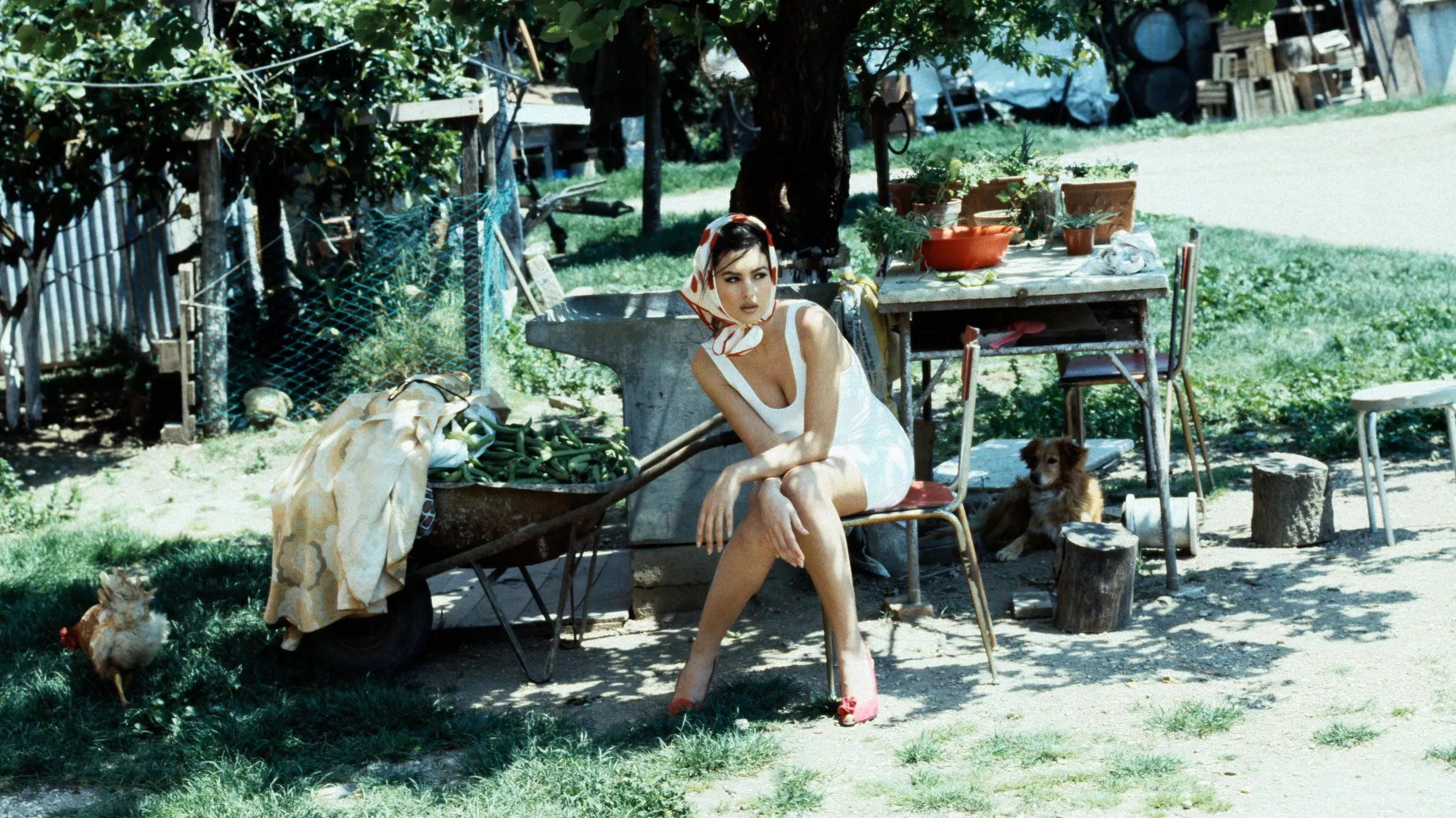 Monica Bellucci posted by strictlybiznes