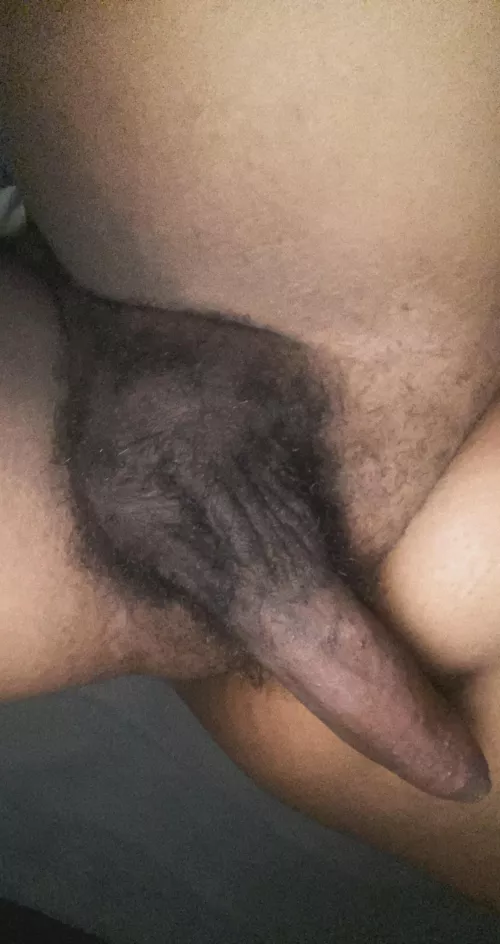 My favorite thing is a tight warm hole milking the shit out of me 😈 by MurkyAcanthaceae9035