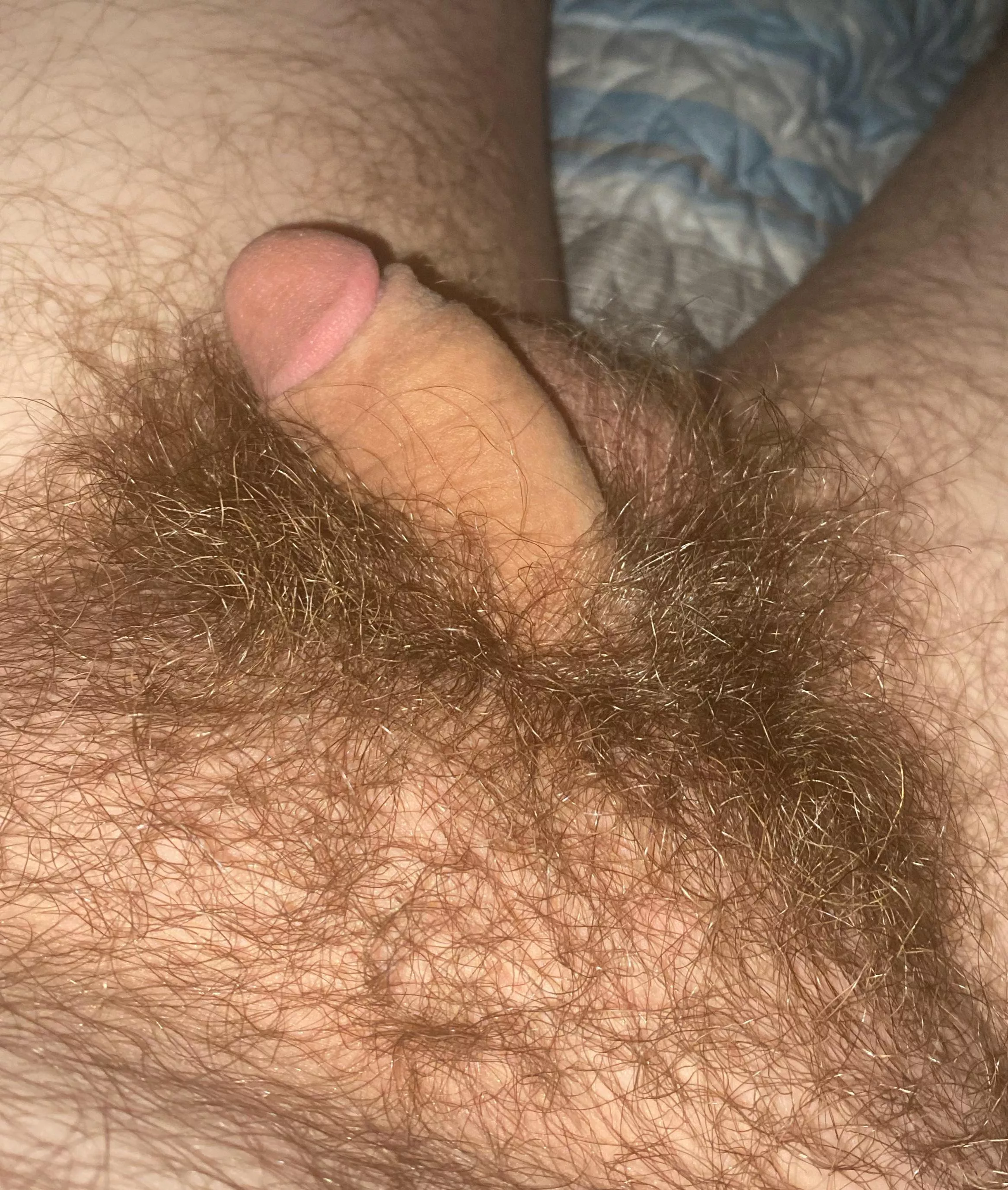 My soft cock and bush posted by Cold129
