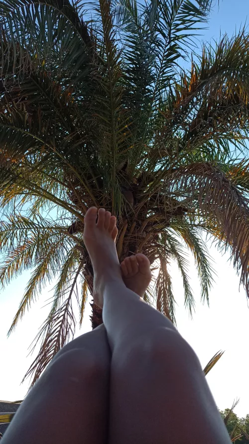 they need caresses 😈👅 by Sweet-melyy