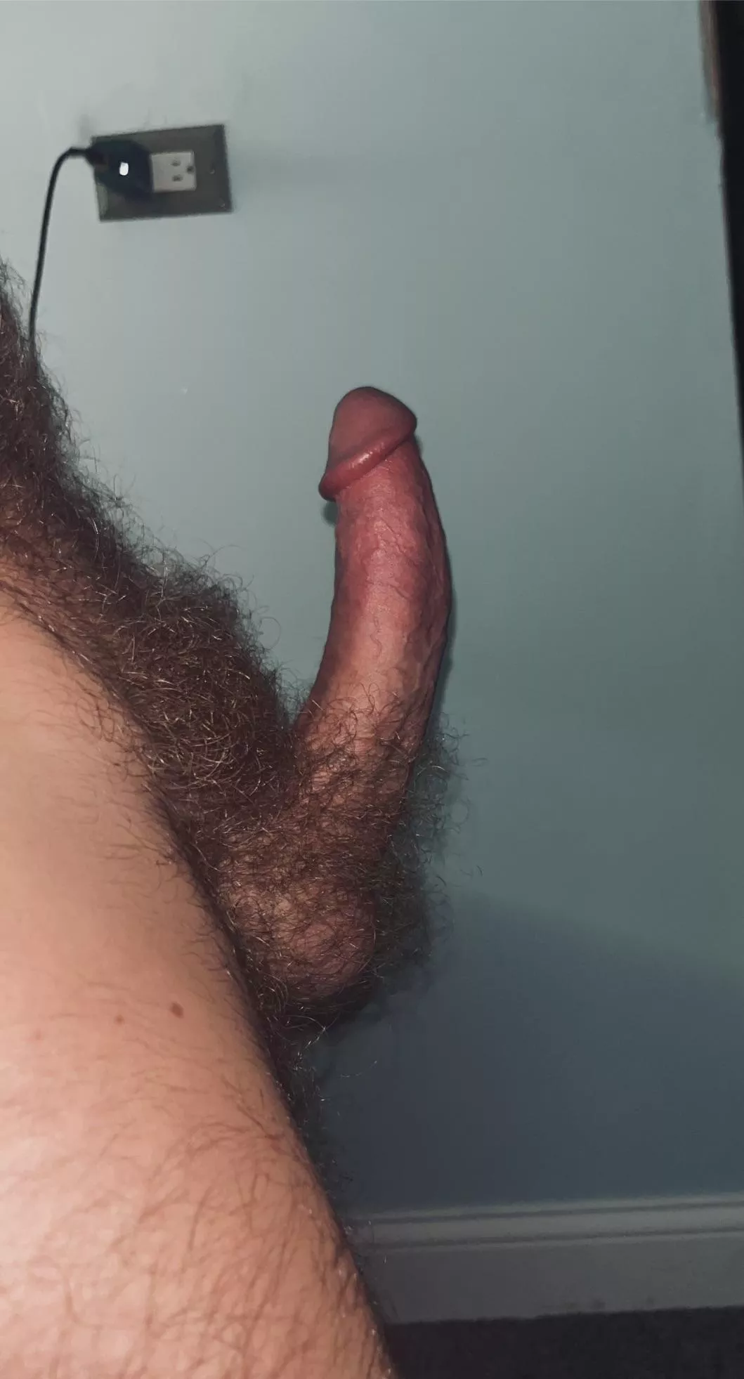 Things are looking up posted by fithairydude