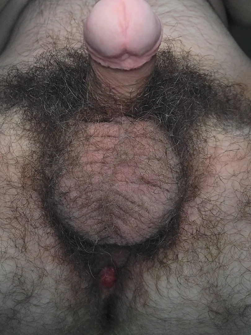 This is your view as I'm sitting on your face! posted by wannabeboitoy