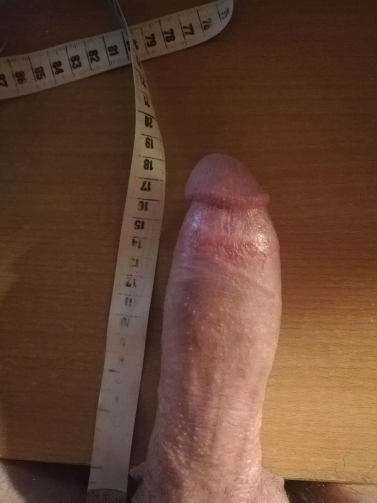 would you play with it? posted by lazybones25