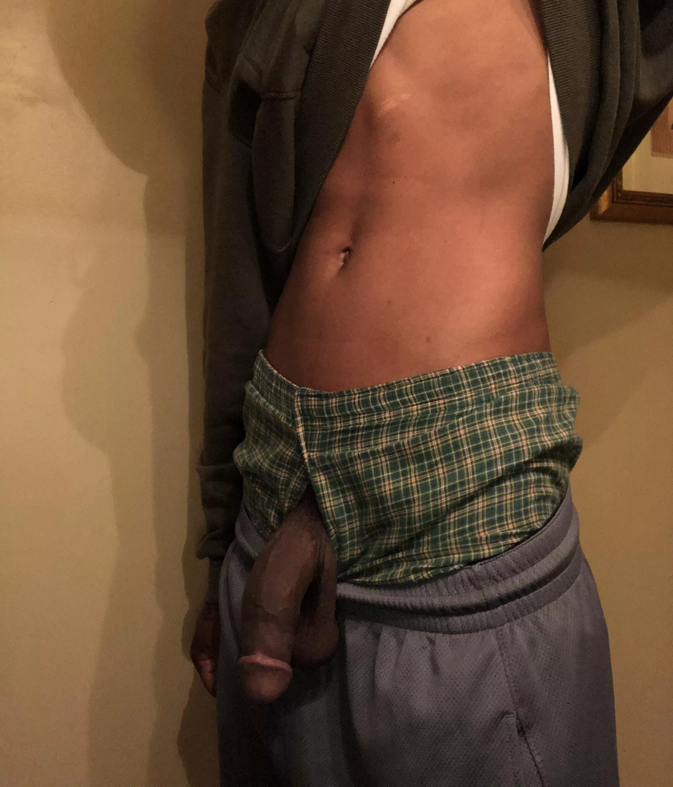 Anyone like plaid lol posted by wolfknightz