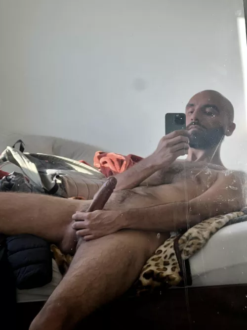 Dirty mirror gang by marcopolo619