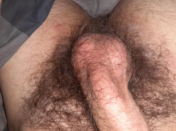 Do you like my bush? by Wheresallthecomments