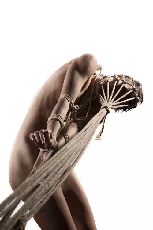 Fay from a while back. Rope and photo by me by CrushedVelvetX