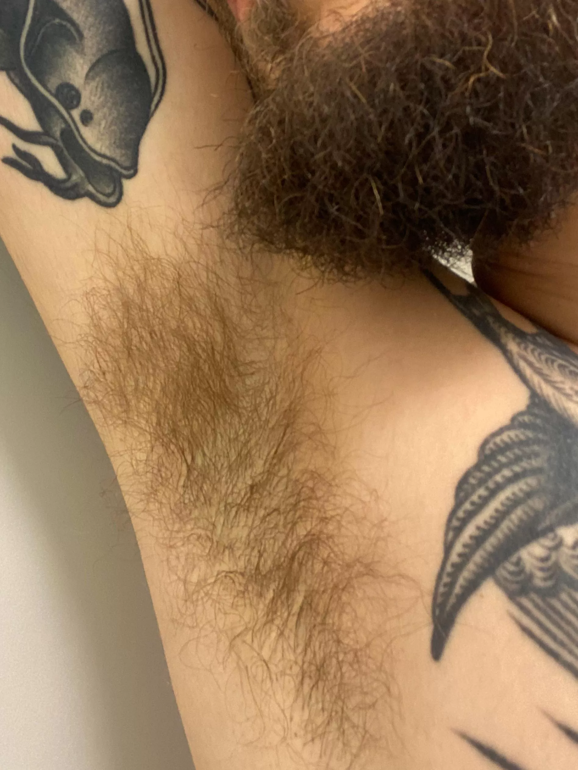Hairy pits + beard + tatts = perfect combo? posted by ds1983007
