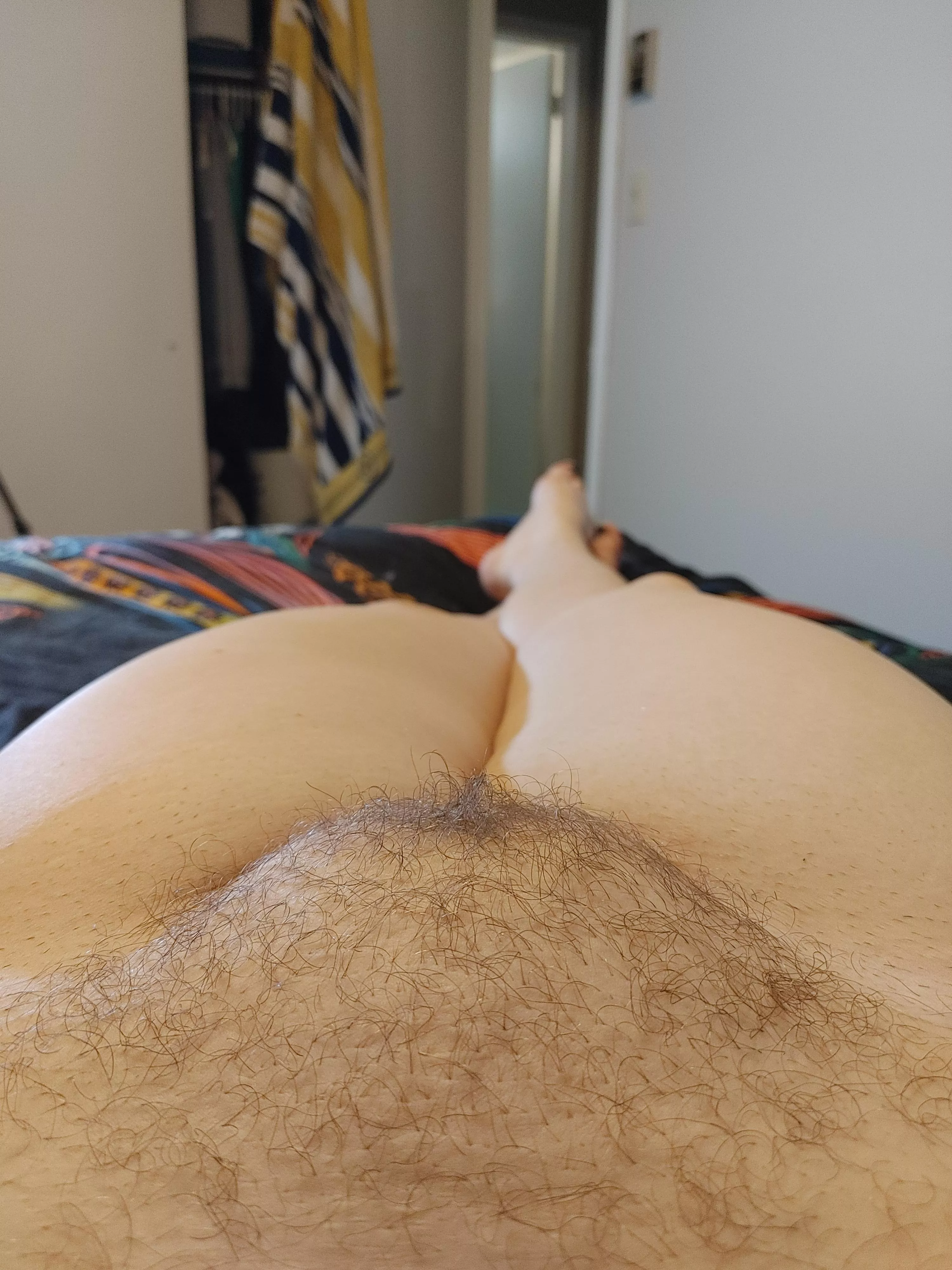 Happy hairy Valentine's day! posted by sarahsaurusrexxx