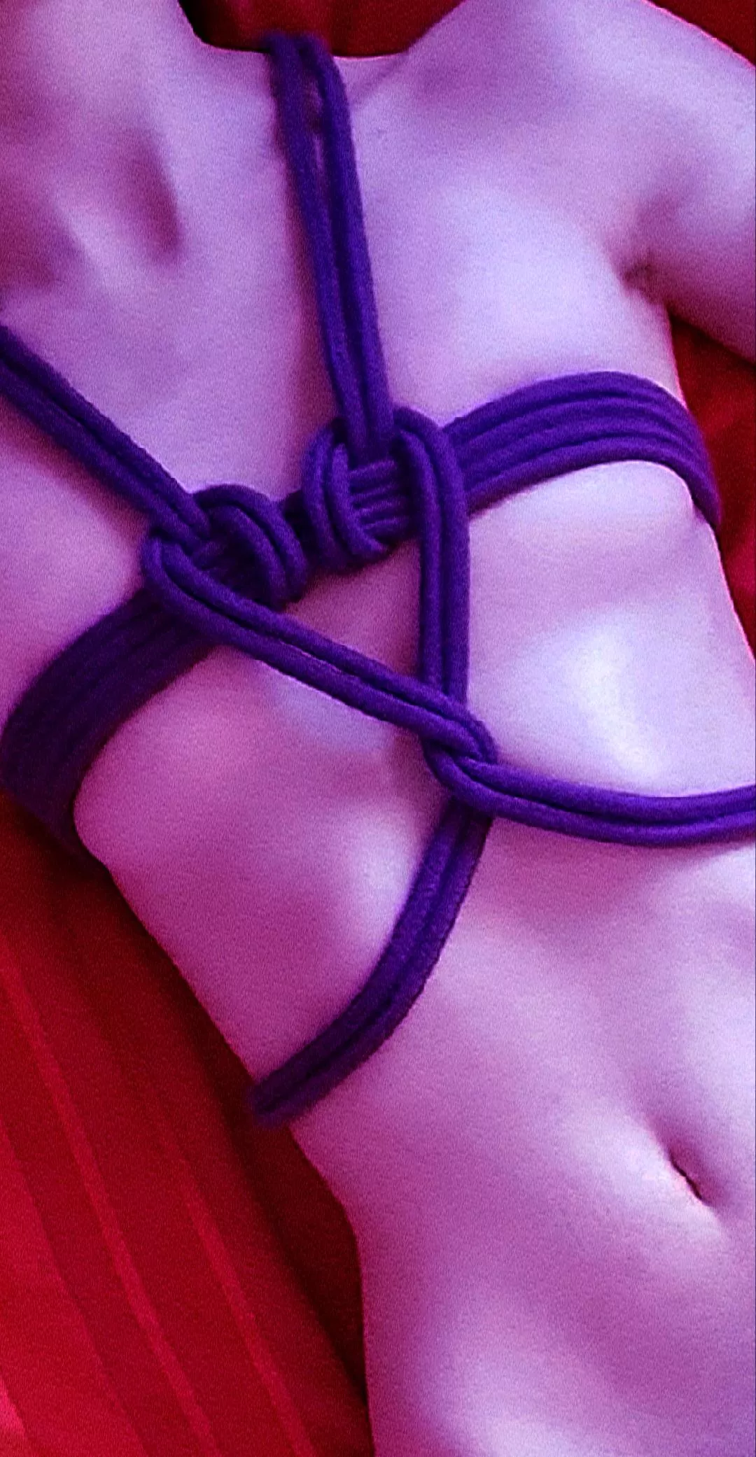 Happy Valentine's Day~ 💜 posted by Dino_Puppy