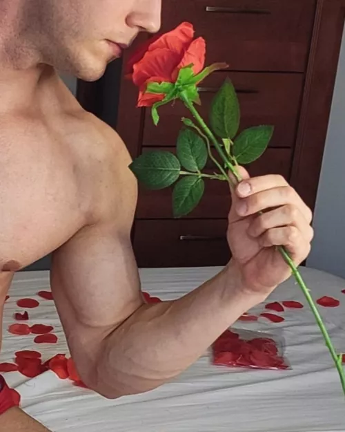 Happy Valentine's Day 🌹 by John_fitness91