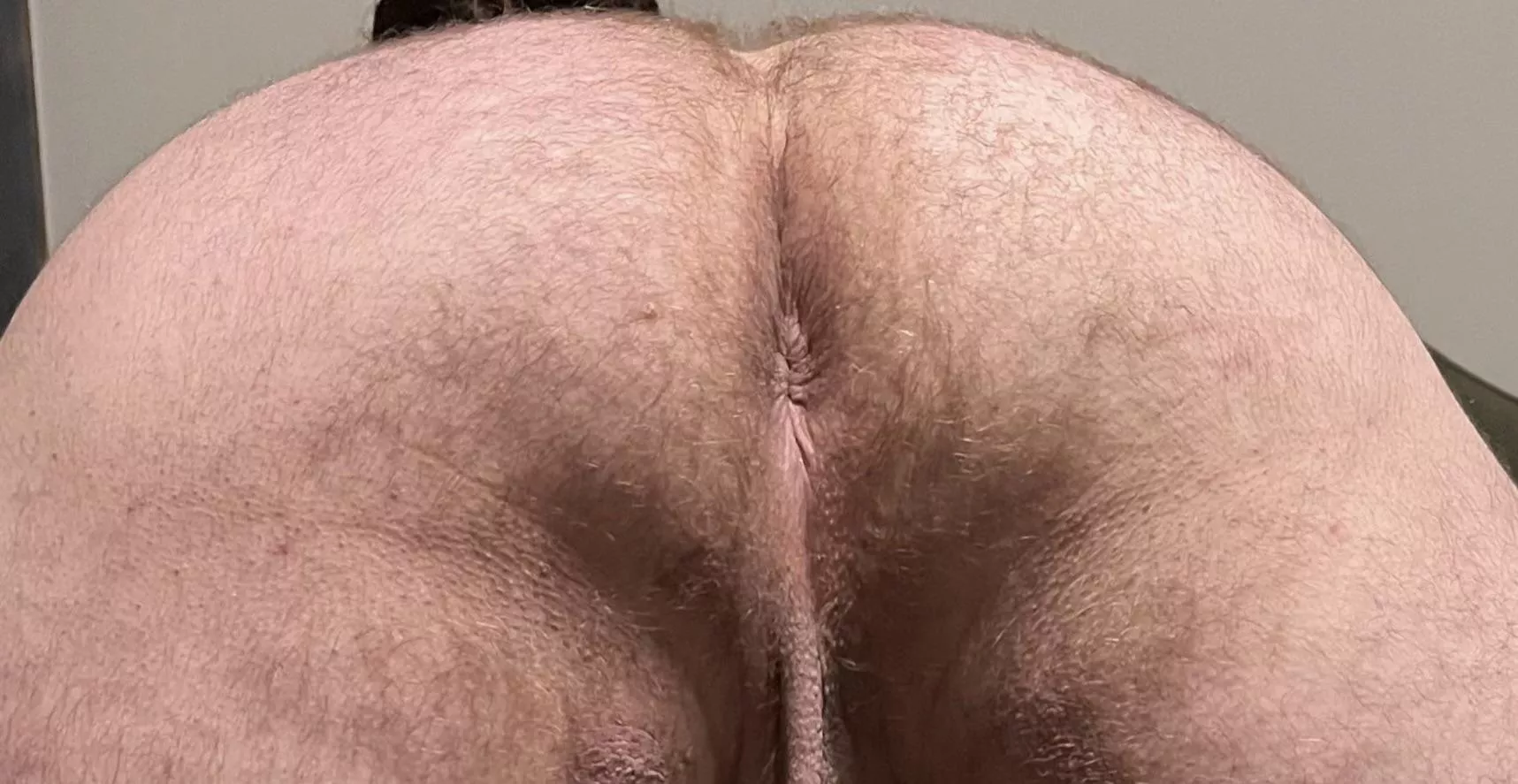 Have a bite? 🍎👅 posted by Daddi_LongLegs