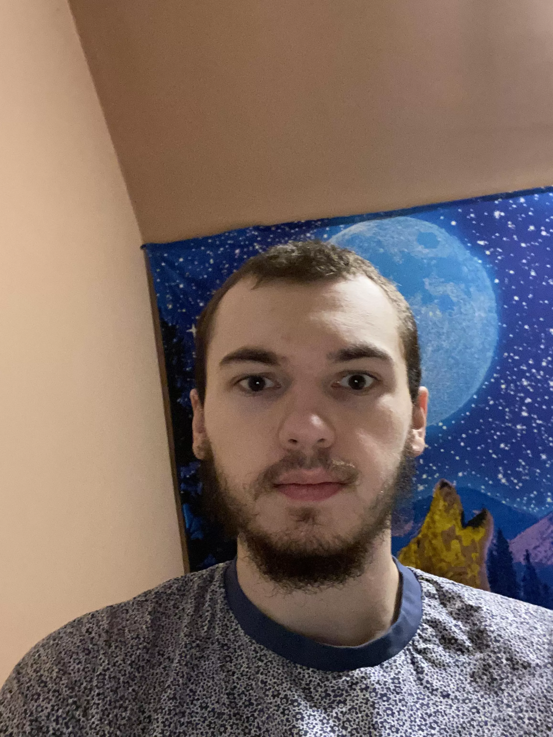 How do I look? (21) posted by BlissfulWolf