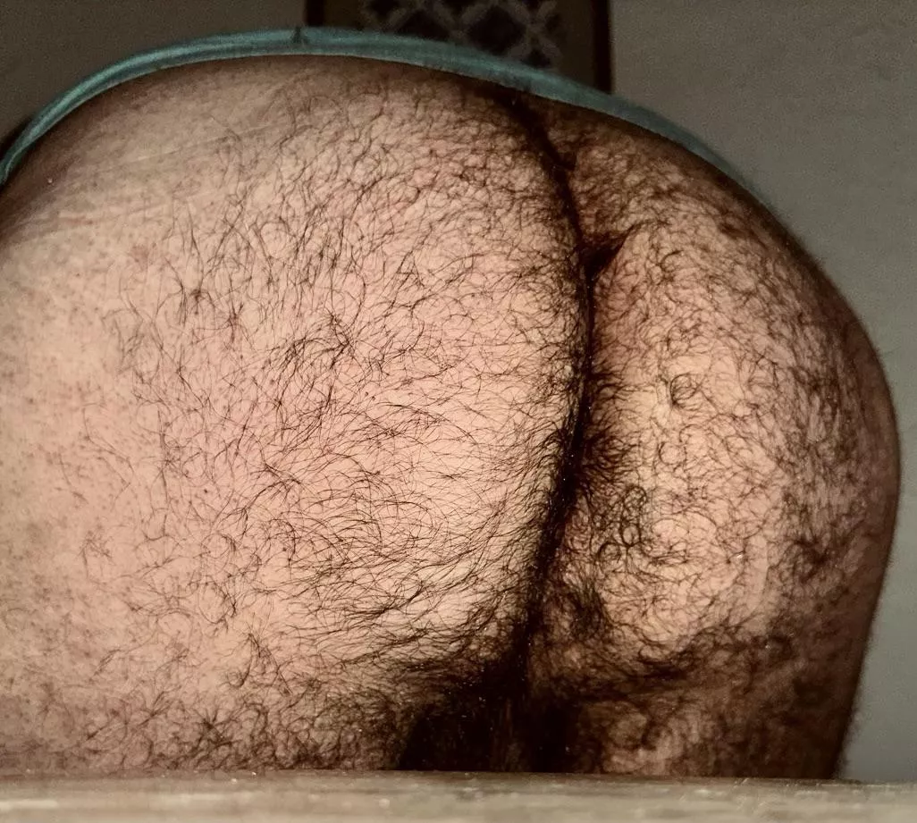 It’s an enchanted forest! 🧙🏼‍♂️🪄 posted by LillTindemann