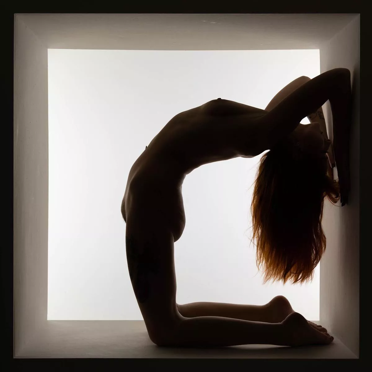 Love this series posted by Taylorcat94