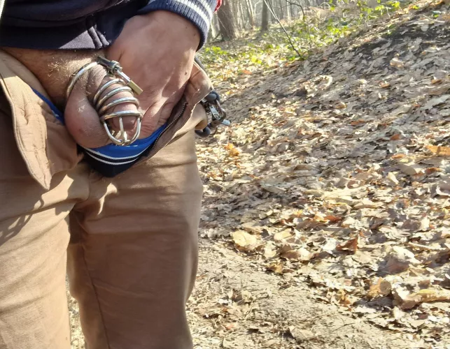 (OC) M30 Enjoying a walk in the woods by Slaboy