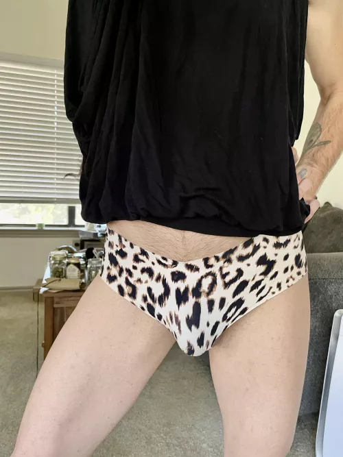 Want to see what’s underneath? Curiosity is what pleases the cat! by SunshineWetDream