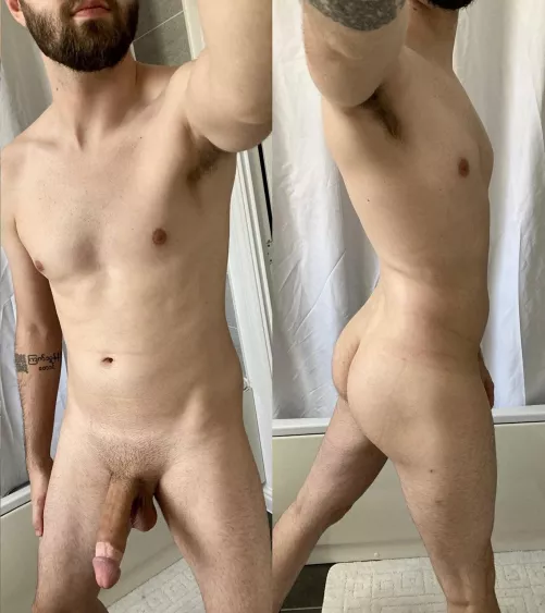 27 UK cut bull in training by ButtButtman01