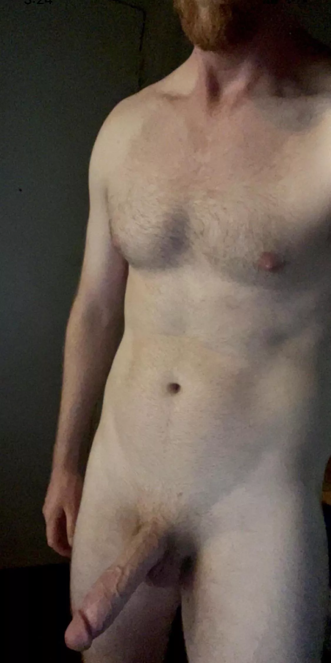 6’4, hung, vocal, and in need of a kitten to play posted by MrSeymour_Butts
