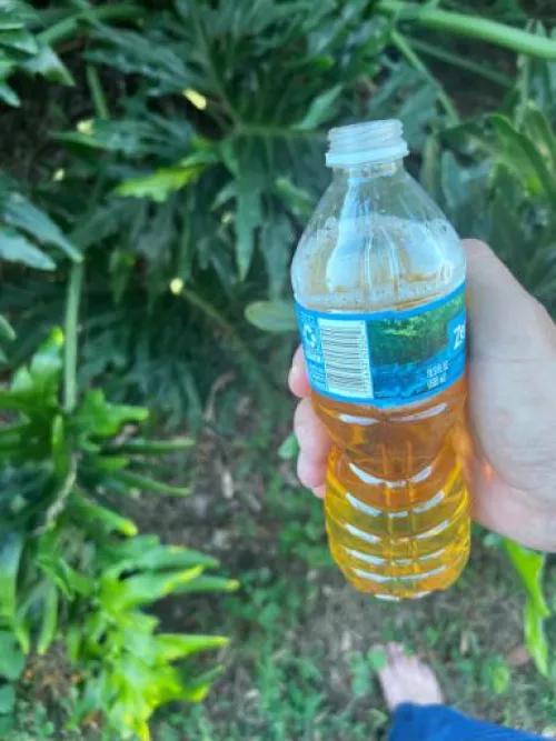 Anyone in Orlando give me some of these? by orlandoguy4u