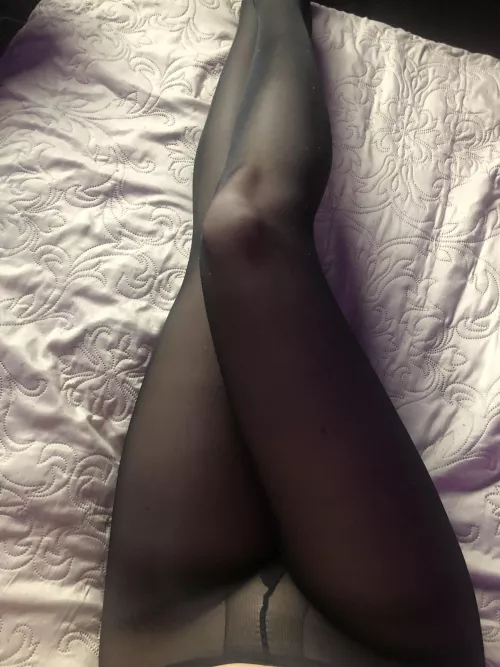 Aren’t my legs perfect in nylons? by Zealousideal-Law-896