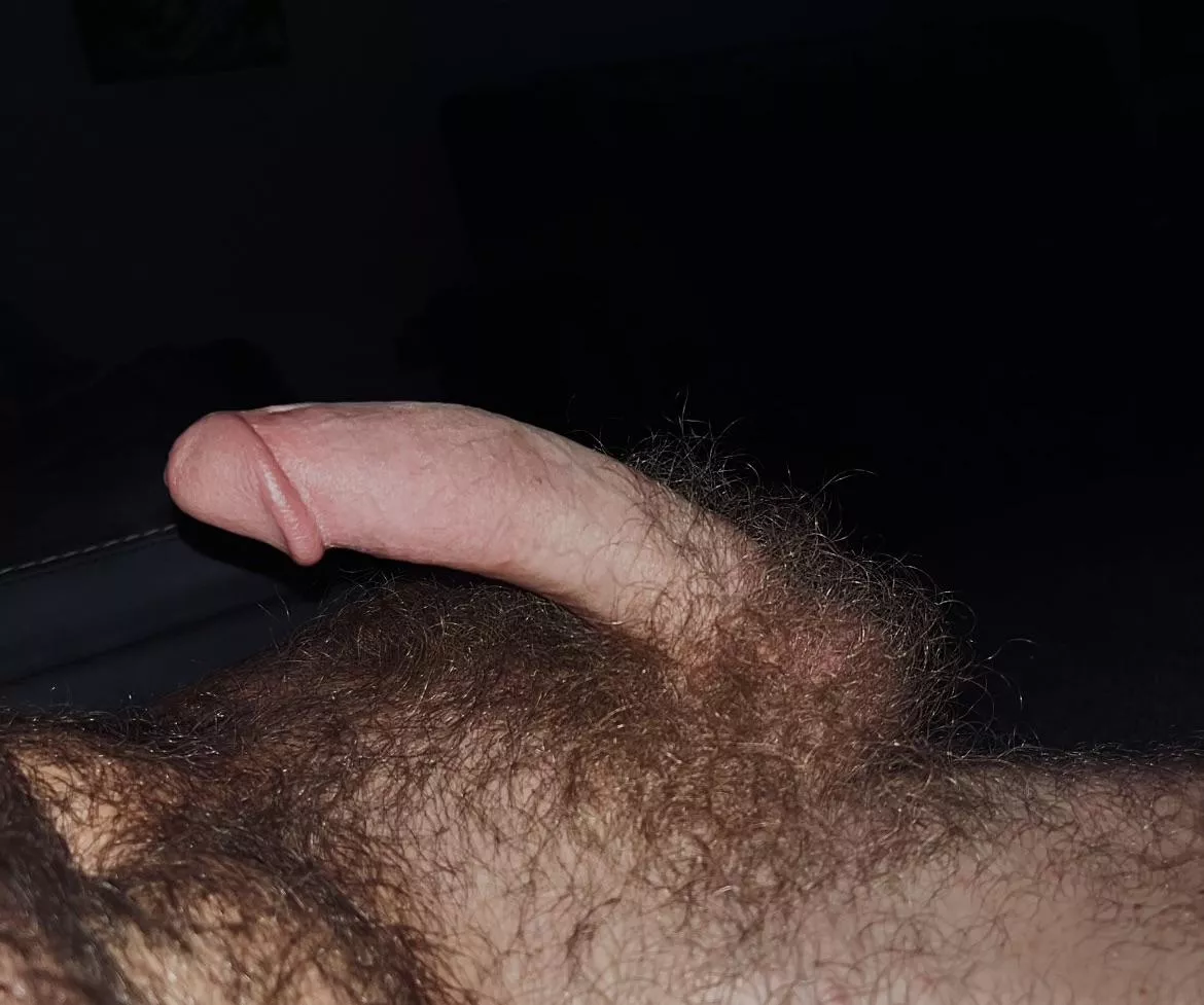 Covered in fur posted by fithairydude