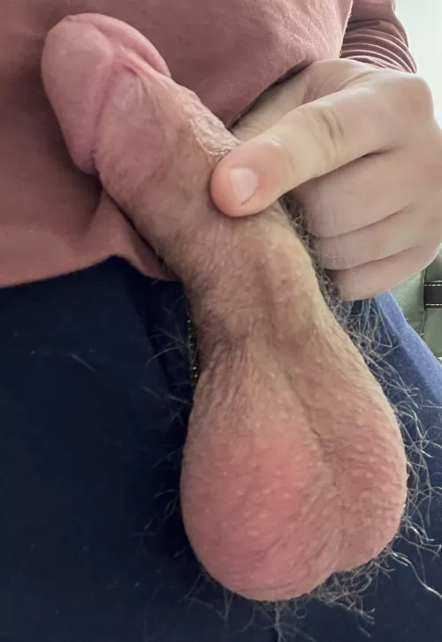 Get on your knees or bend over? You decide. by PhaseOrnery610