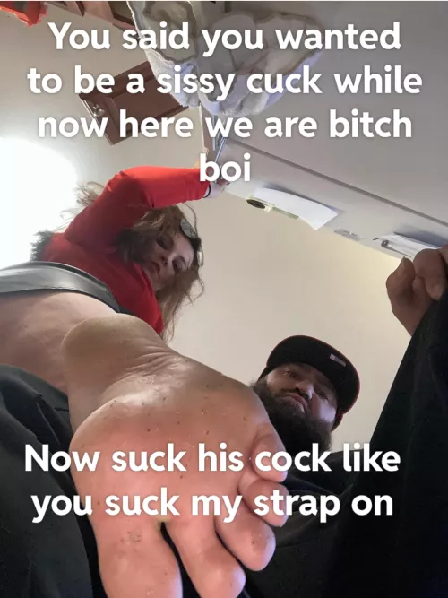 Go ahead beta boi don’t be shy by mistressBrazda1