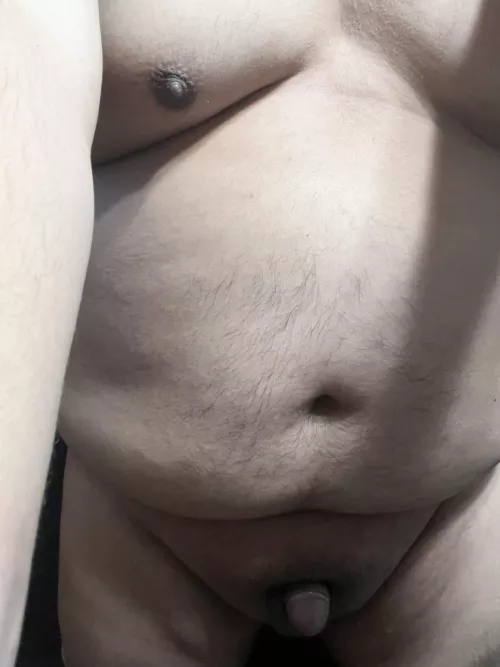 Happy Tuesday by PhoenixMK