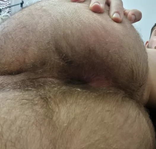 how bad do you want to stick your cock in my hairy ass? by darianultimulwhore