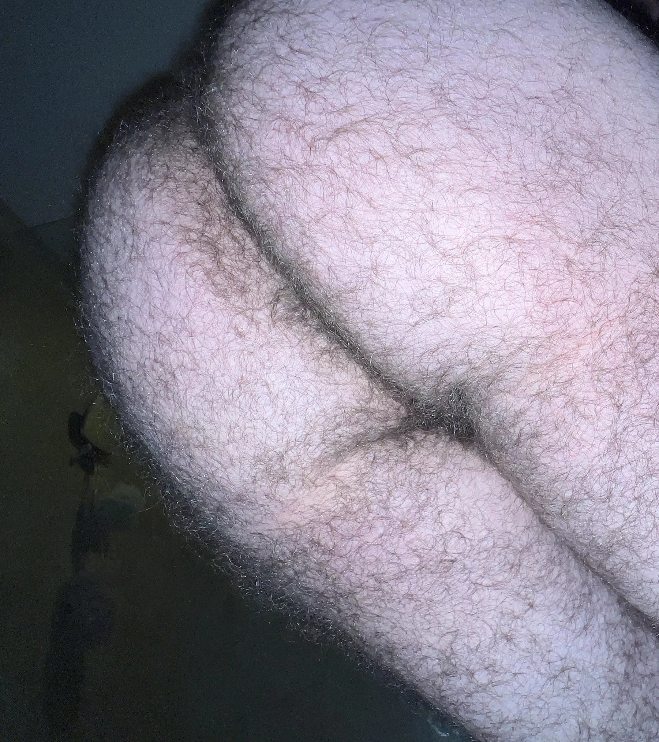 Howdy posted by Anonymity2594