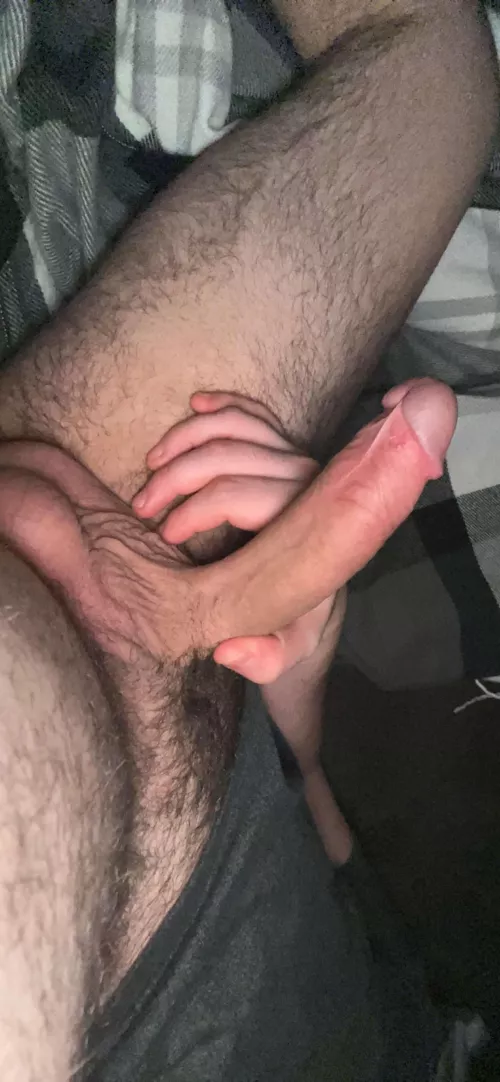 I got a stick for you to come play with 👹 by Comfortable_Carrot_2