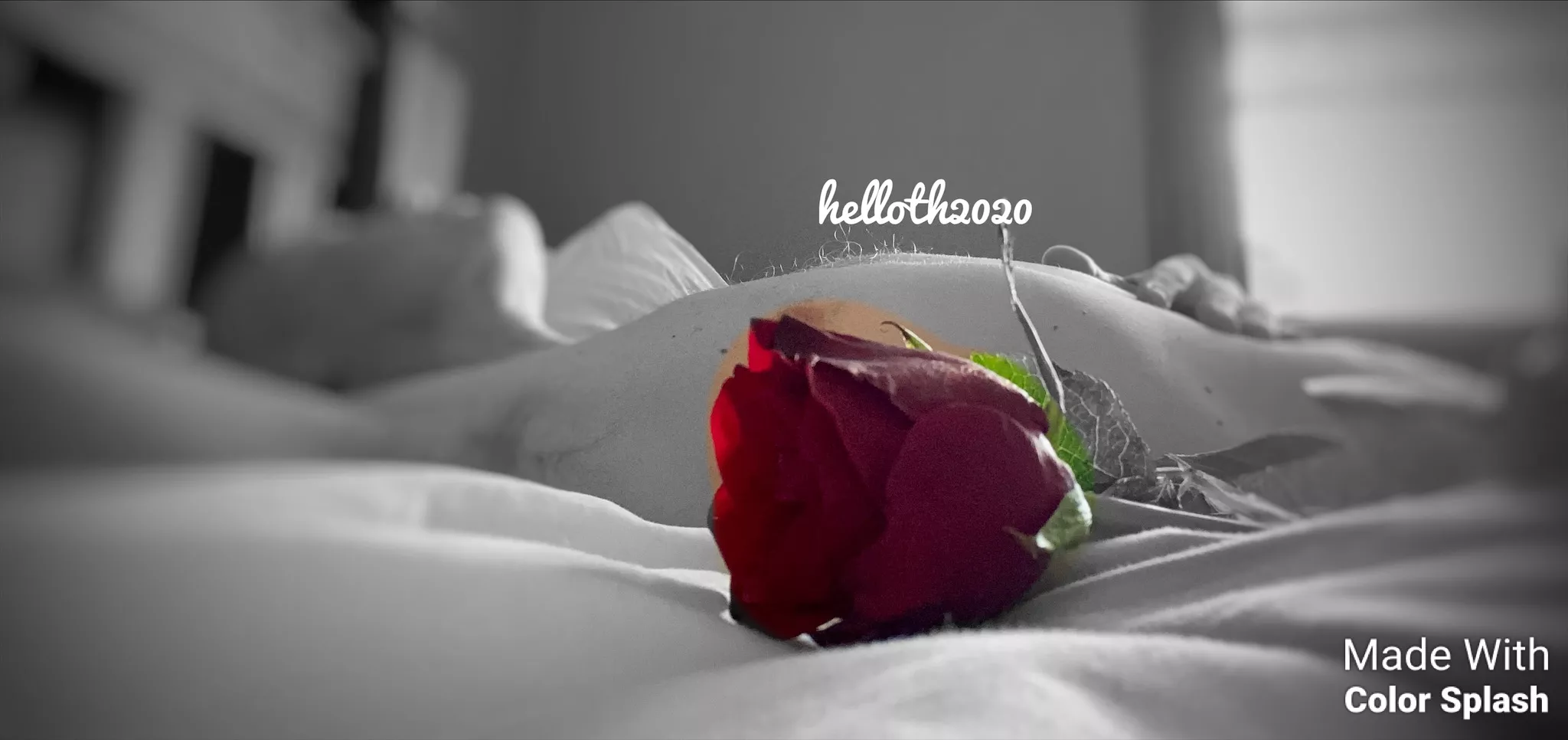 [M] Thinking of you. Happy Valentines posted by helloth2020