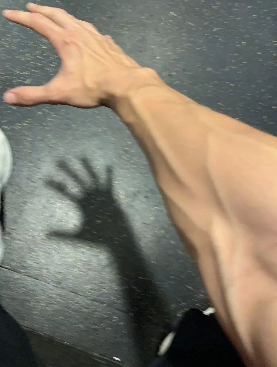 Maybe a necklace? posted by itswingswhenimove