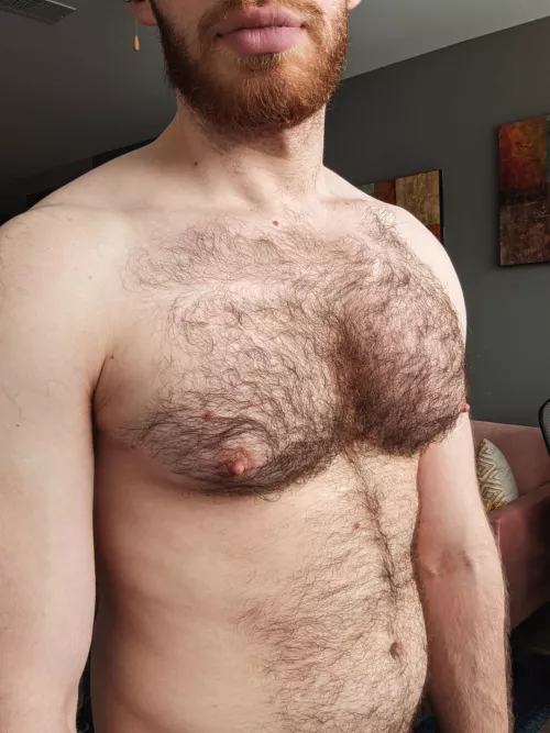 my chest and fur just keep growing by bariboy09
