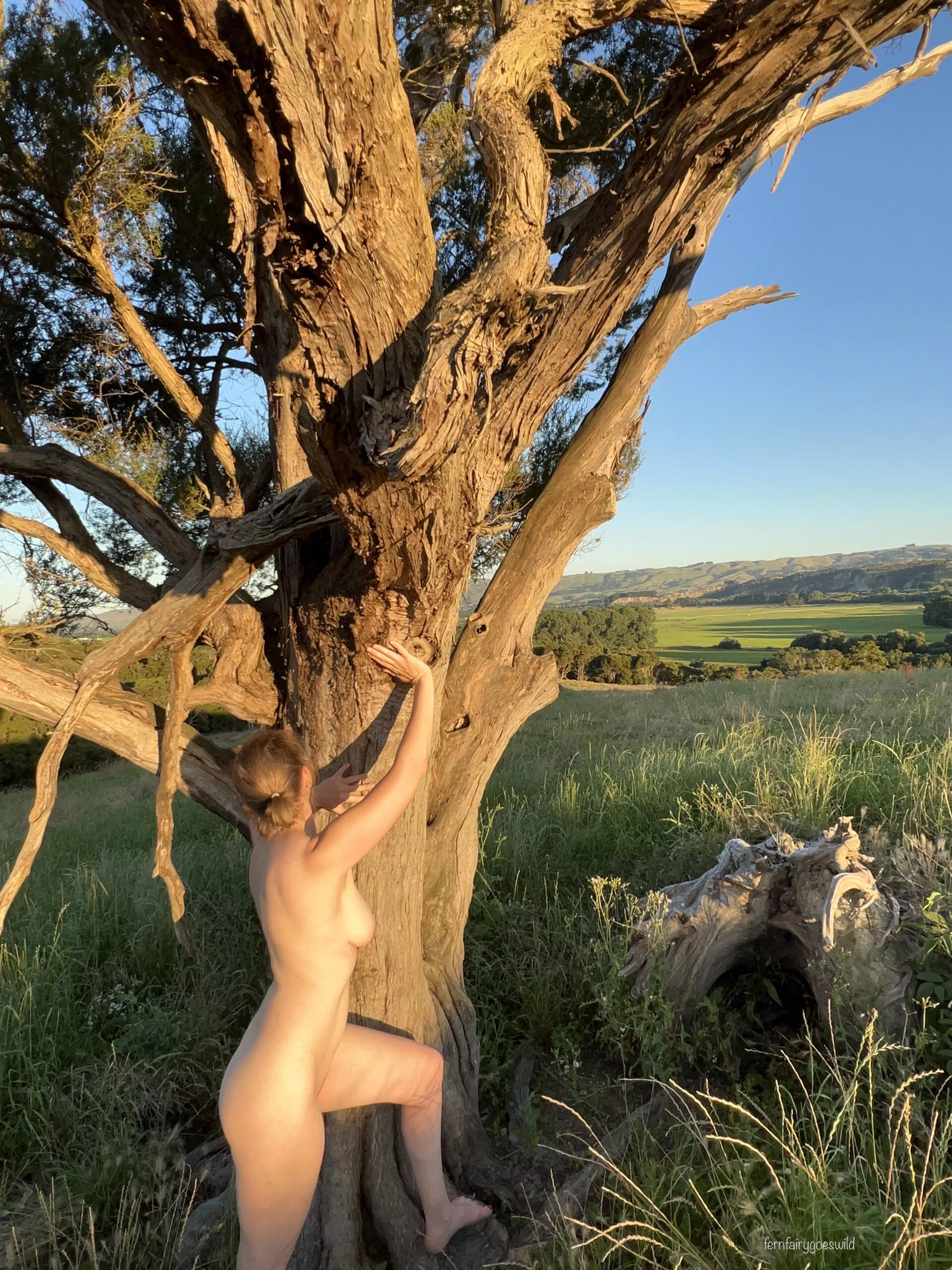 Nudist with old gumtree and an amazing view posted by Fernfairygoeswild