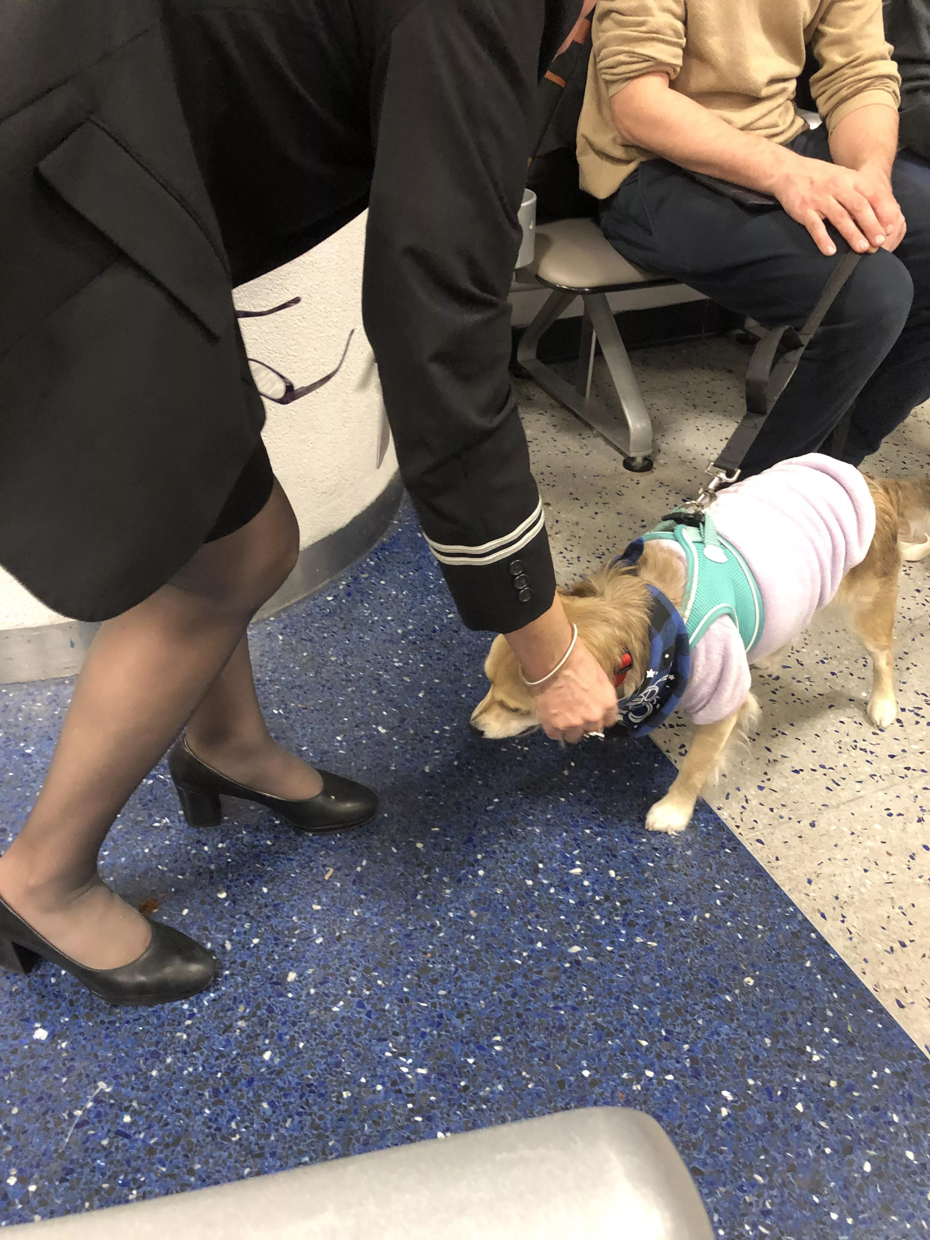 NYC stewardess. Our flight was delayed. She took her heels off and was rubbing her tired pantyhose feet. posted by SECsimp