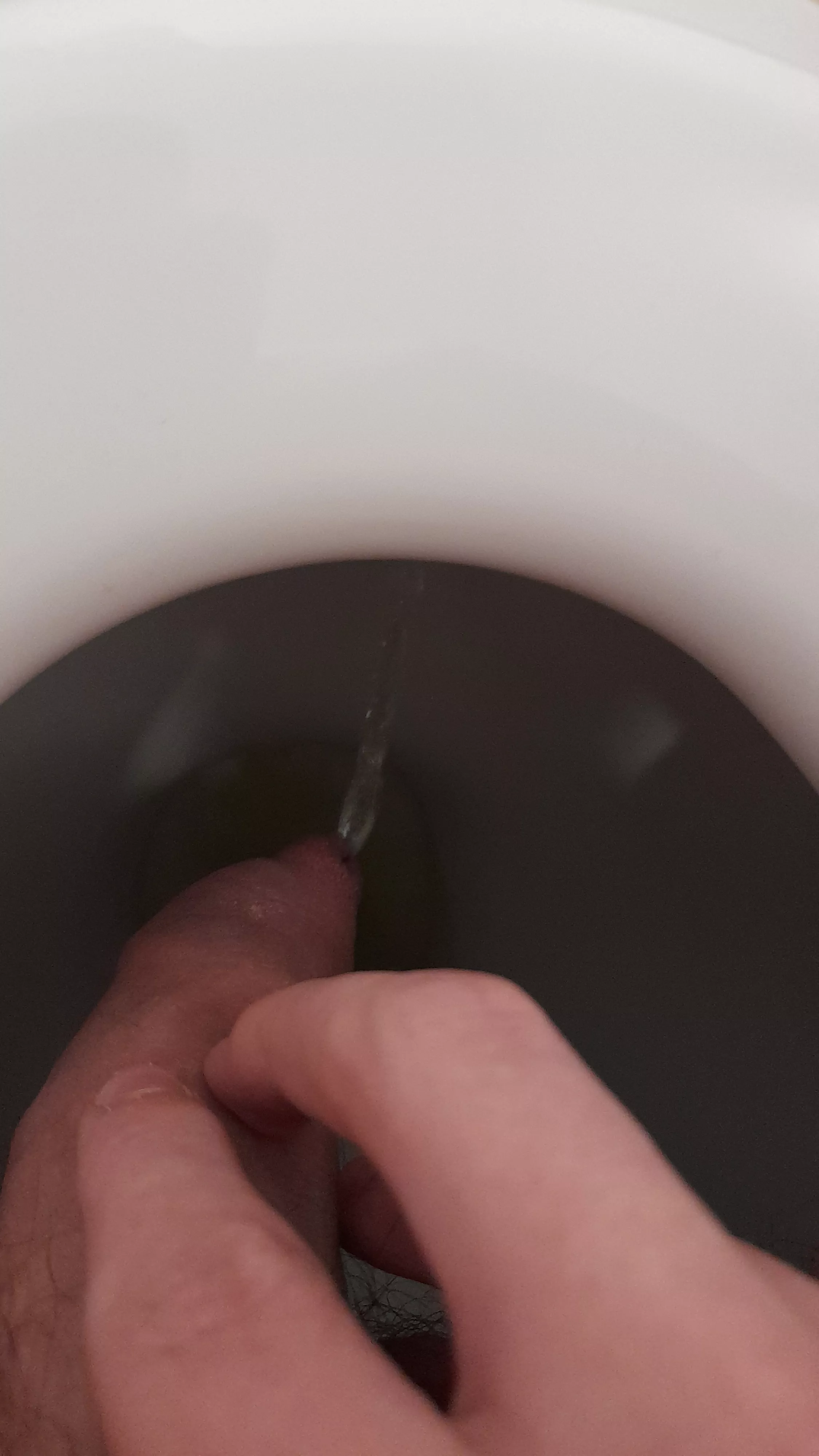 piss posted by No-Equivalent3599