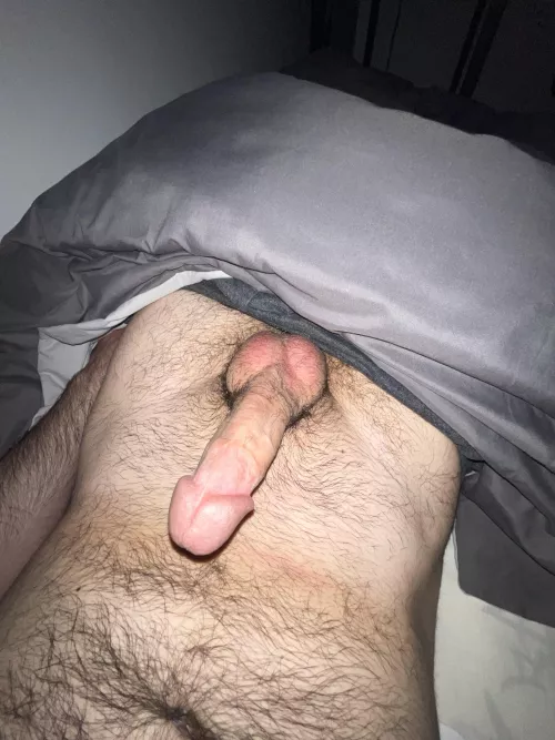 Ready for Valentine’s by rdixi