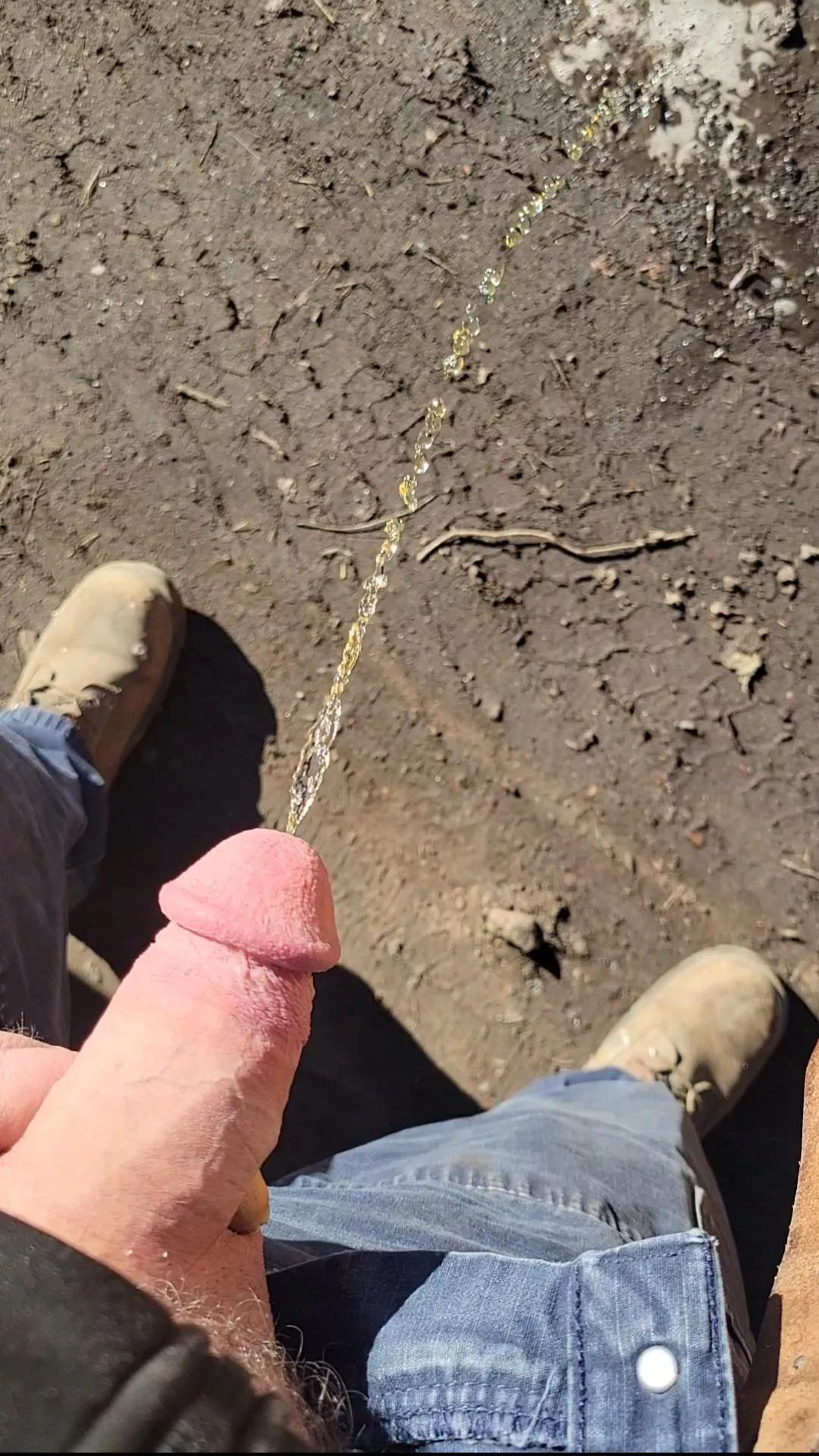 that was a good piss posted by highwayhacker8