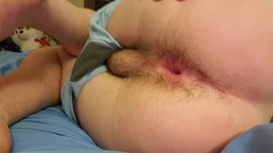 Wanna be my valentine? (DMs open) by VioletBovine